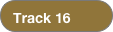 Track 16